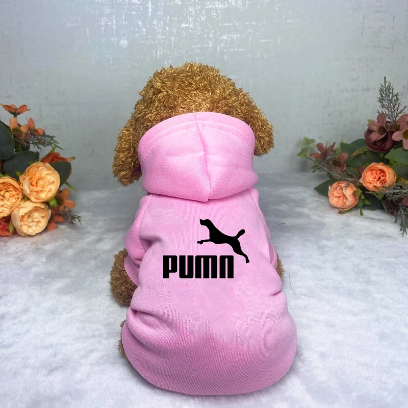 Sweat à capuche chaud pour animaux de compagnie, vêtements pour chiens, vêtements décontractés, mode populaire, grands, moyens et petits